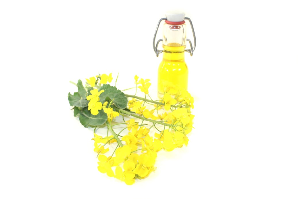 Rapeseed oil with rape