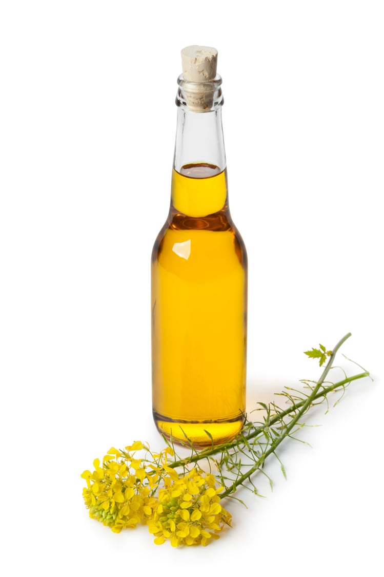 Rapeseed oil in a bottle